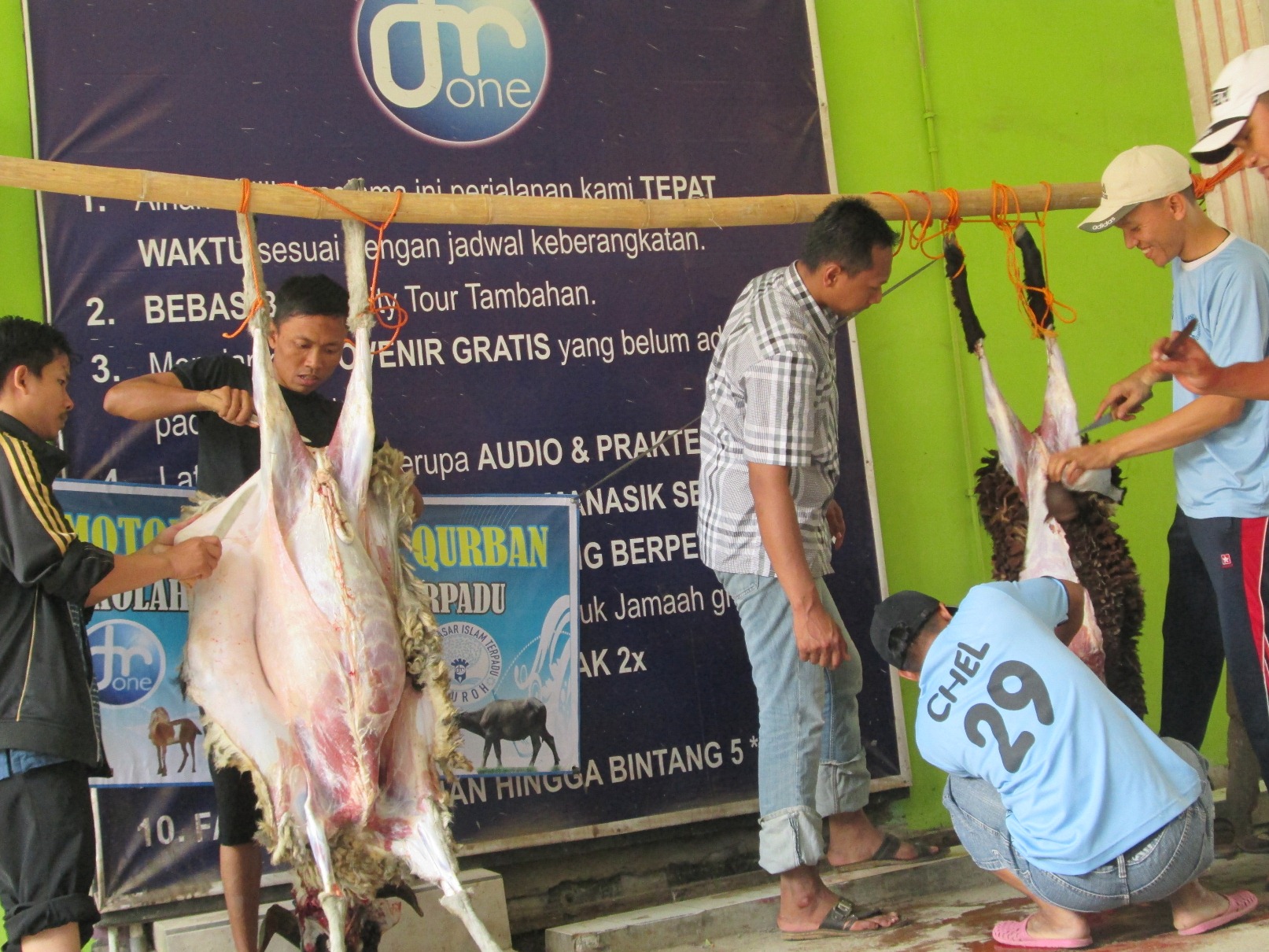 Pemotongan Hewan Qurban